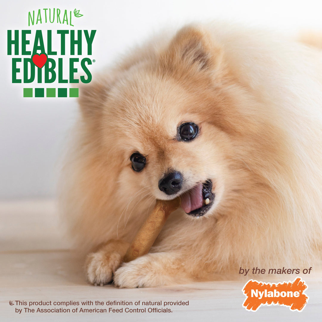 Nylabone Healthy Edibles AllNatural Long Lasting Bacon Chew Treats Bacon, XS/Petite  Up To 15 Lbs. 2 ct