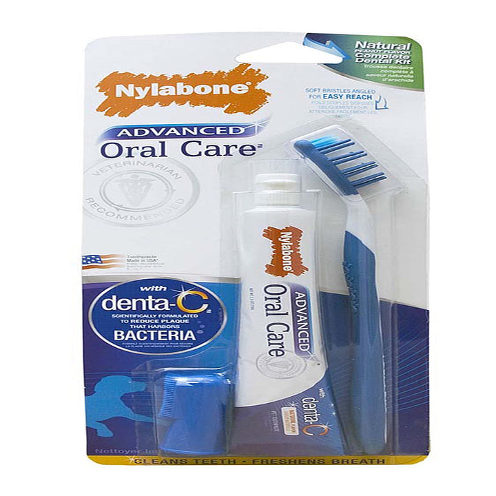 Nylabone Advanced Oral Care Natural Dog Dental Kit Peanut Butter 1ea-