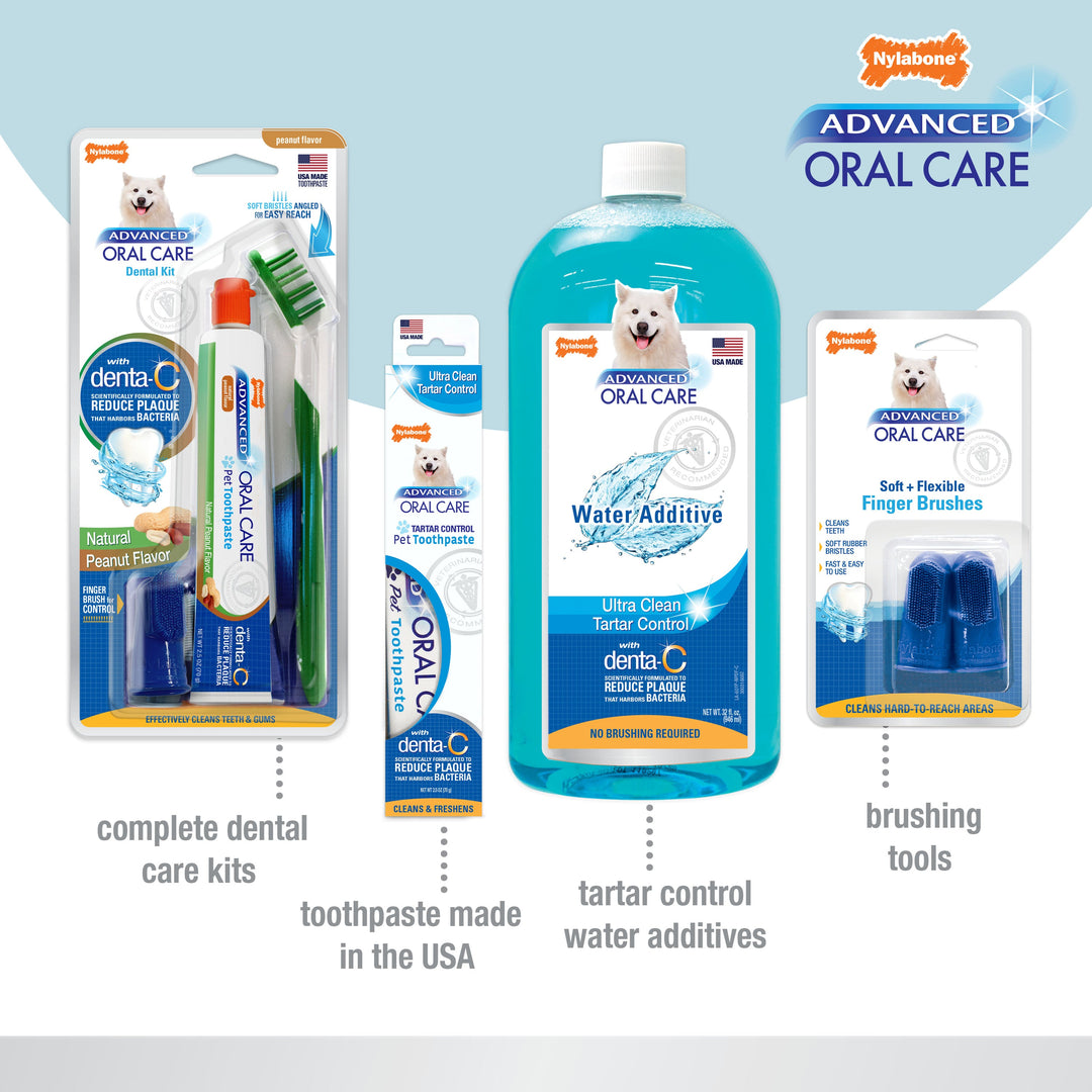 Nylabone Advanced Oral Care Cat Dental Kit 1ea/2.5 oz