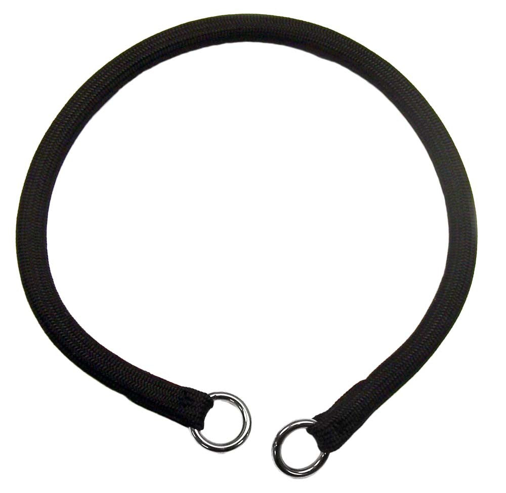 Coastal Round Nylon Training Dog Collar Black 1ea/3/8 In X 16 in-