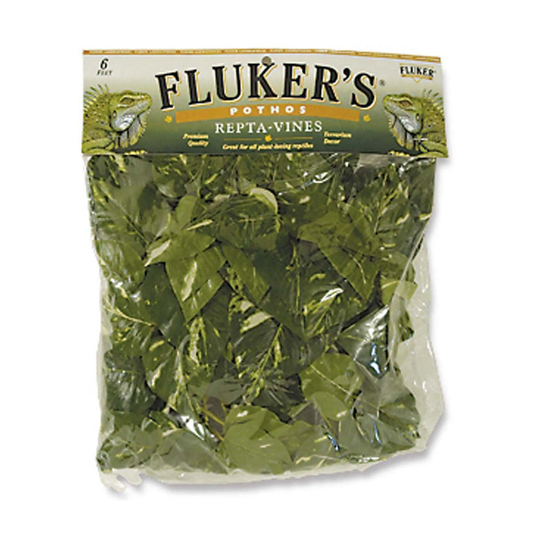 Fluker's Pothos Repta-Vines Green 1ea/6 ft-