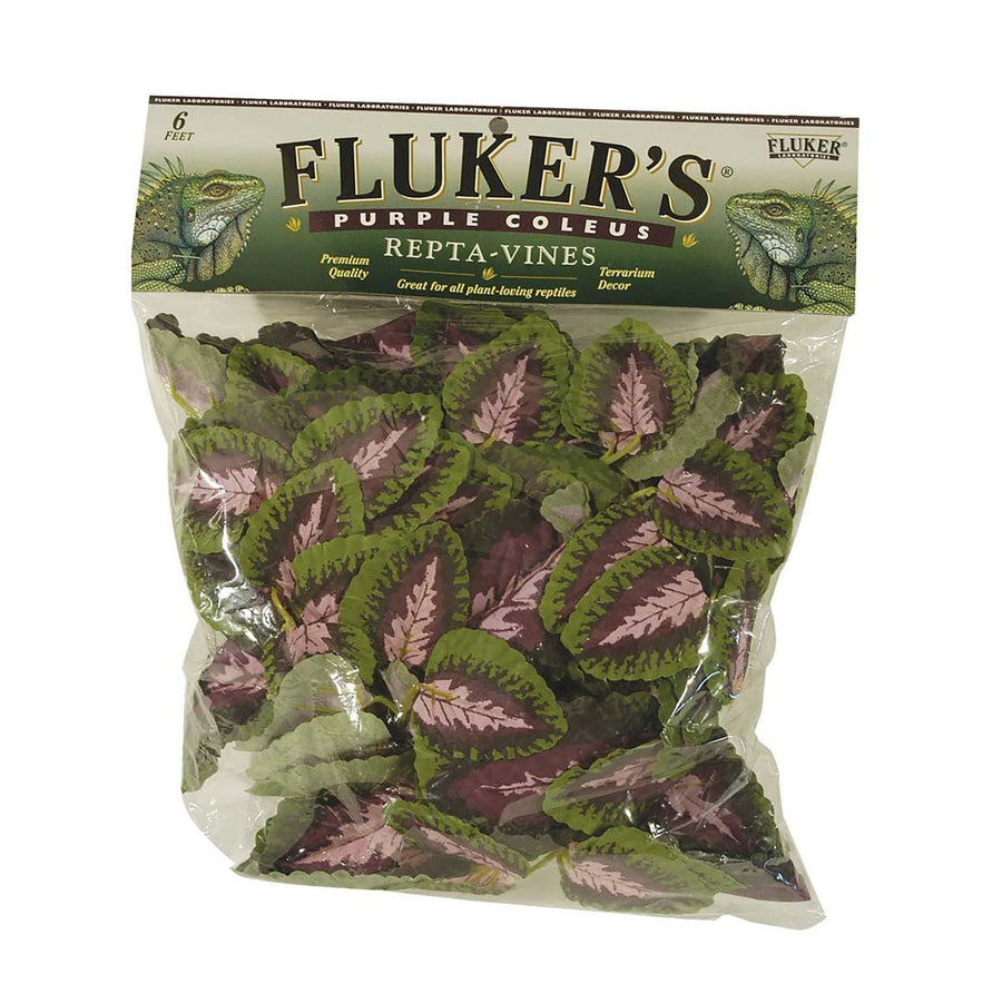 Fluker's Purple Coleus Repta-Vines Green, Purple 1ea/6 ft-