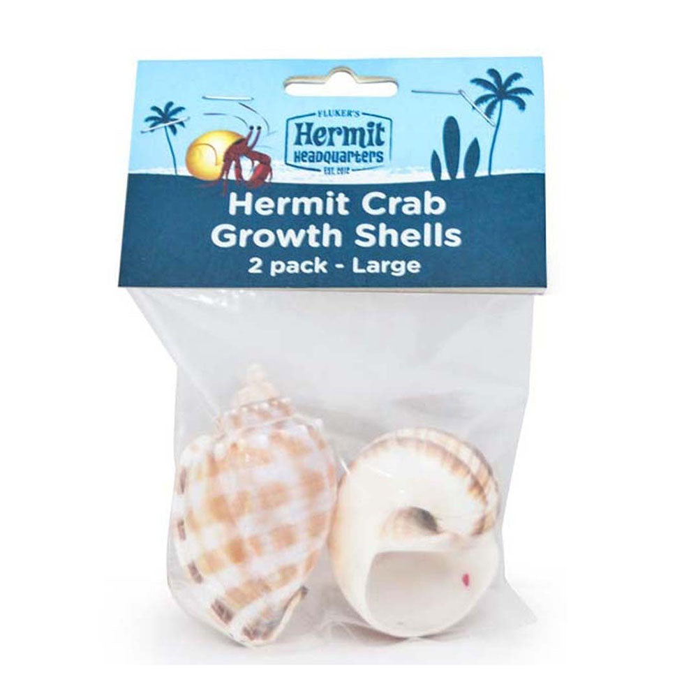 Fluker's Hermit Crab Growth Shells Assorted 1ea/2 pk, LG – Fur Babies Plus