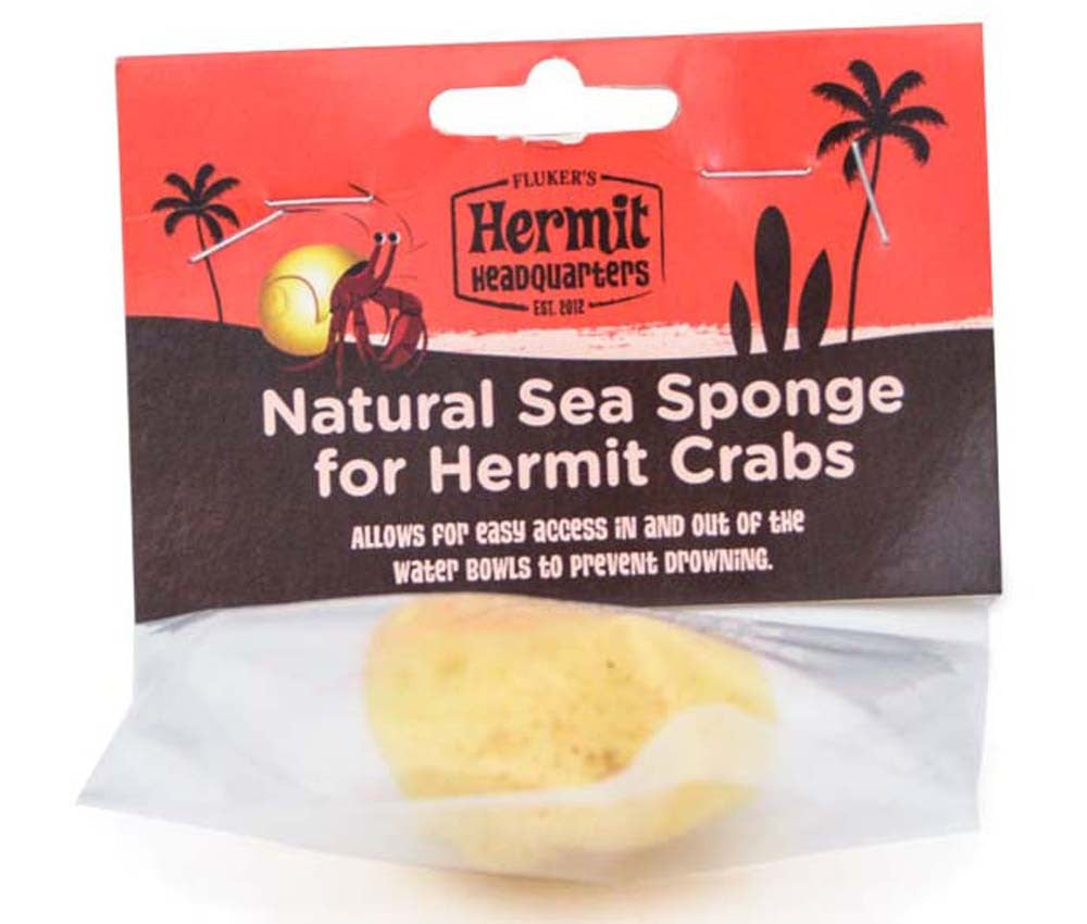 Fluker's Hermit Crab Natural Sea Sponge Yellow 1ea-