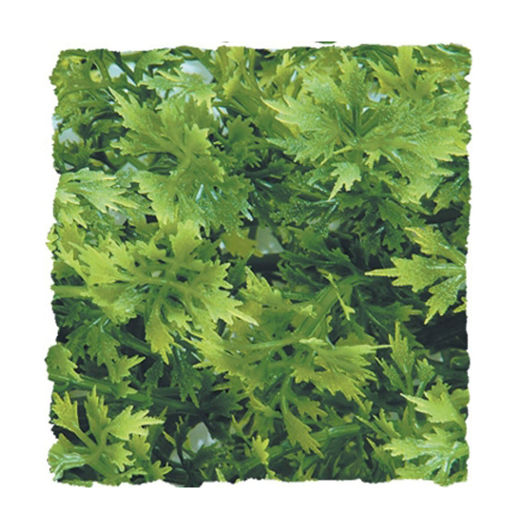 Zoo Med Natural Bush Australian Maple Plants Green 1ea/14 in, SM-