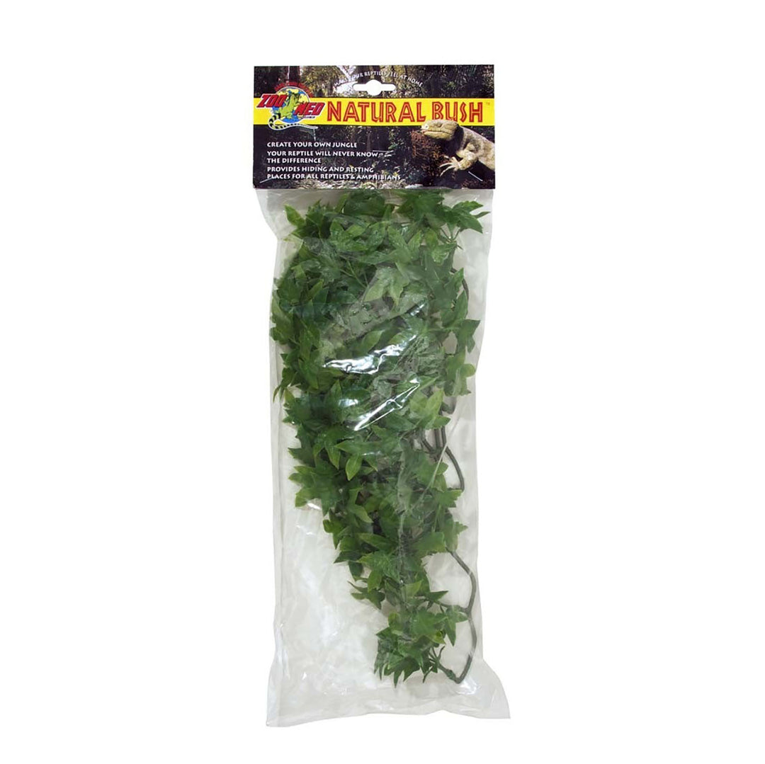 Zoo Med Natural Bush Congo Ivy Plants Green 1ea/18 in, MD-