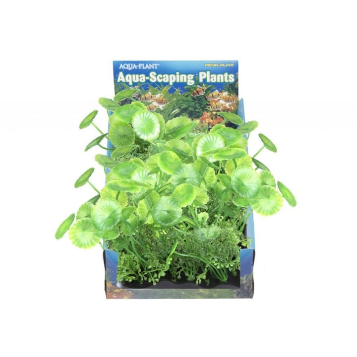 Penn Plax Pennywort Bunch Plant Medium - 1 count-