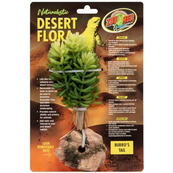 Zoo Med Burros Tail Desert Flora Terrarium Plant - 1 count-