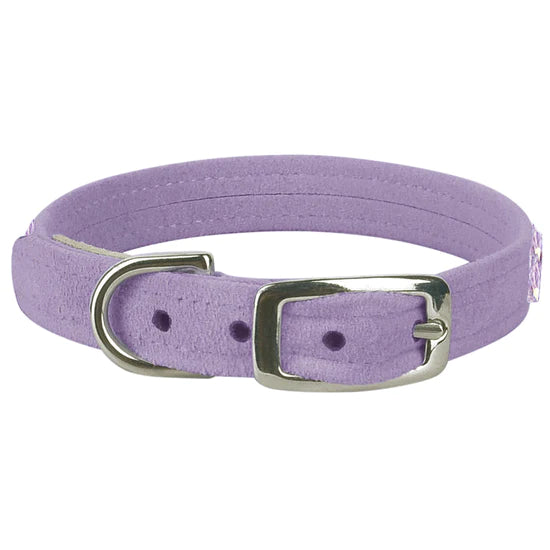 AB Puparoxy Collar-