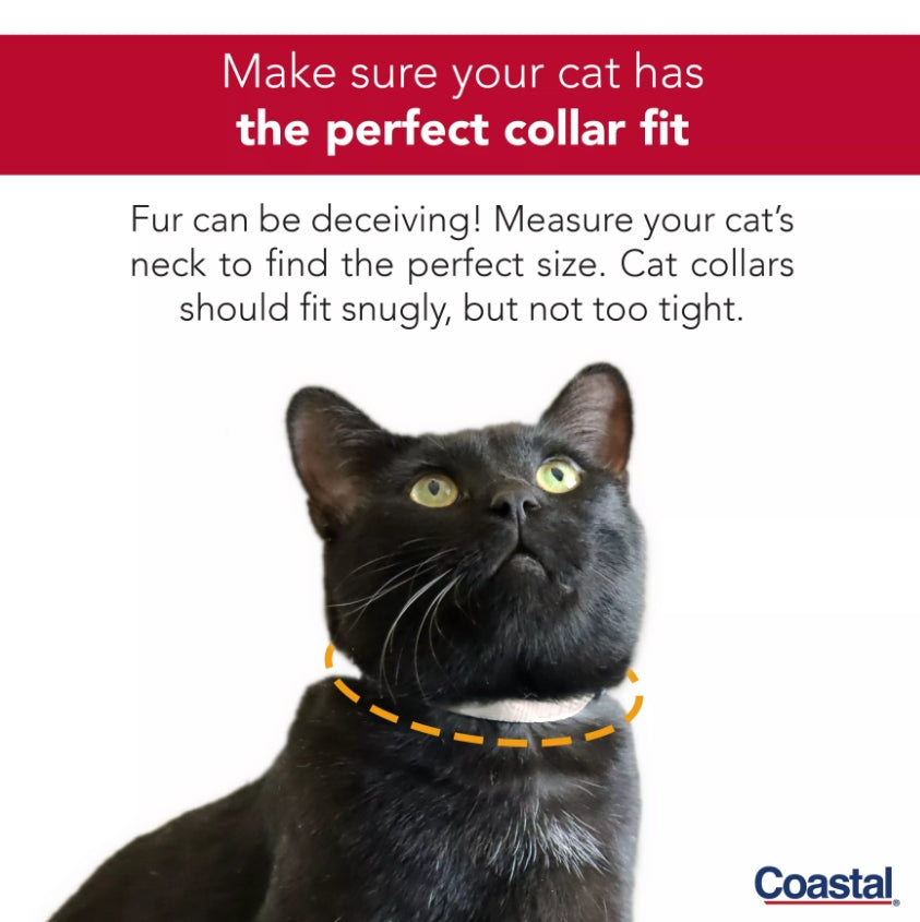 Coastal Pet New Earth Soy Printed Breakaway Cat Collar Fish Pattern - 8-12in.L x 3/8in.W-