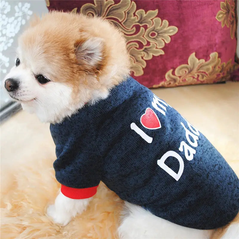 I Love Daddy Pet Sweater-