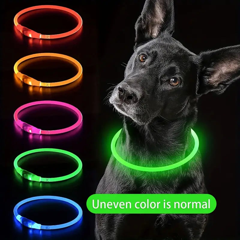 Dog LED Light Collar