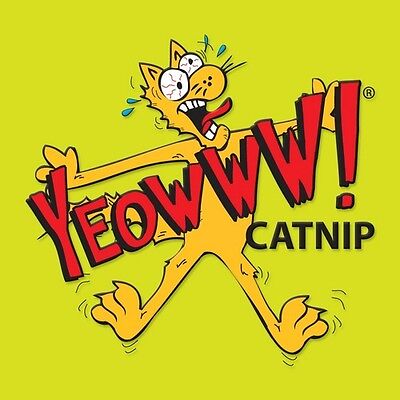 Yeowww! Catnip Bag 1ea/1 oz-