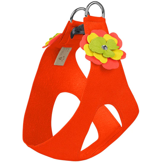 Citrus Flower Step In Harness-