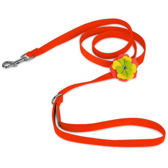 Citrus Flower Leash-Electric Orange-4 FT-