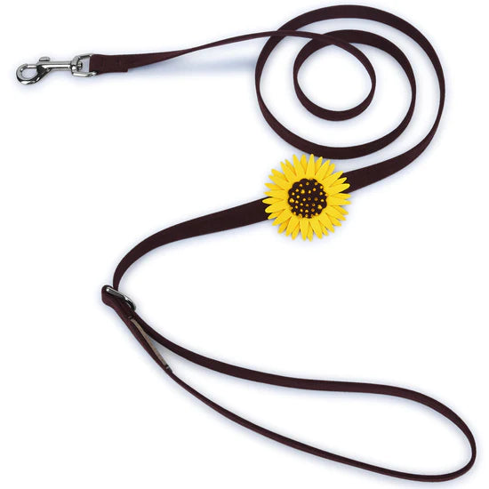 Sunflower Leash-Chocolate-4 FT-