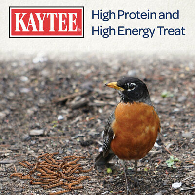 Kaytee Mealworms Wild Bird Food - 7 oz-
