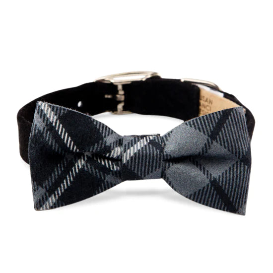 Scotty Charcoal Plaid Bow Tie Collar-TC-Black-