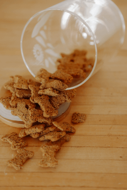 Bulk Treats - Superfood Dog Treat | Jar Refills-