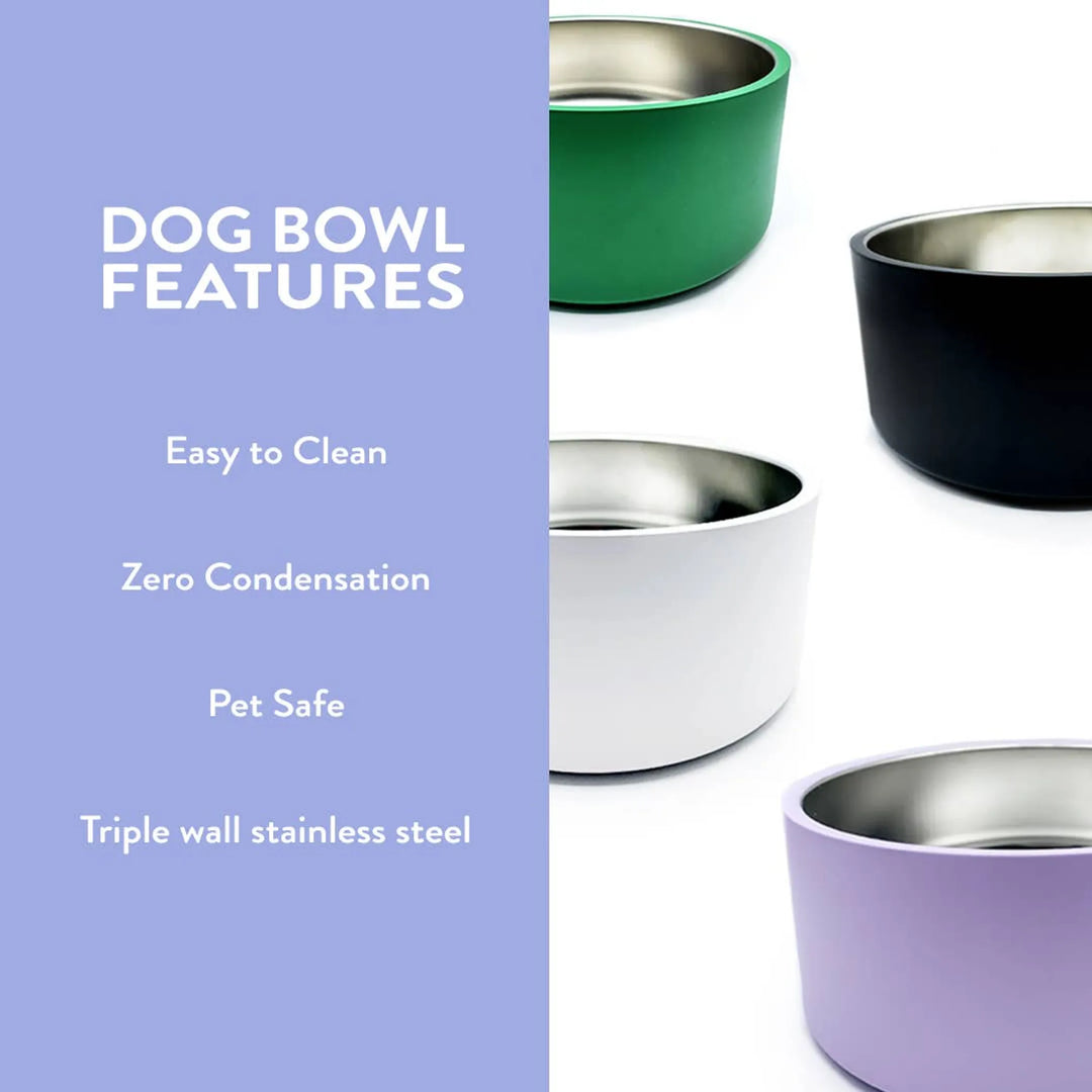 Black Dog Bowl