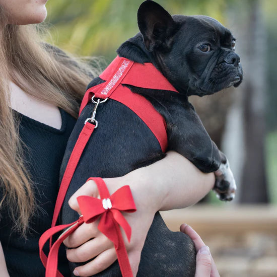 AB Puparoxy Tinkie Harness-