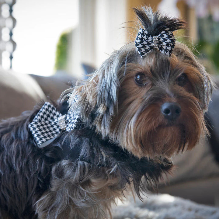 Black & White Houndstooth Nouveau Bow Step In Harness-