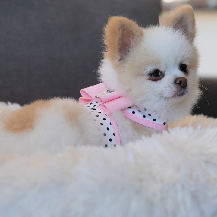 Puppy Pink Big Bow Tinkie Harness with Puppy Pink Trim-