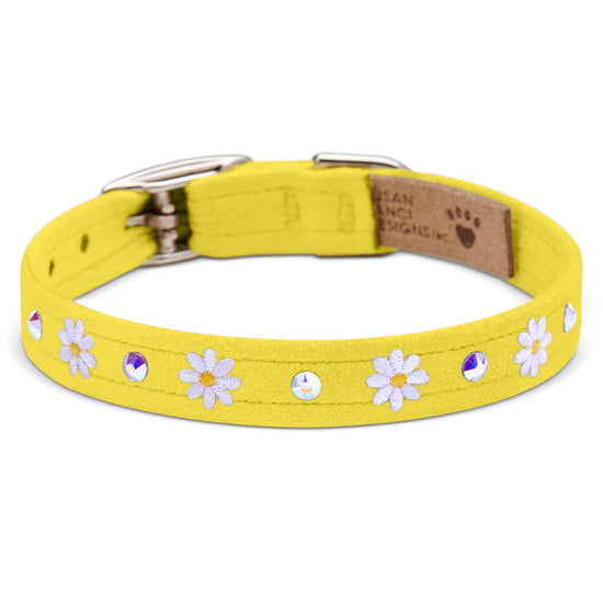 Small Daisy 1/2" Collar-TC-Sunshine-