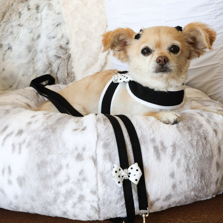 Polka Dot Nouveau Bow Leash-