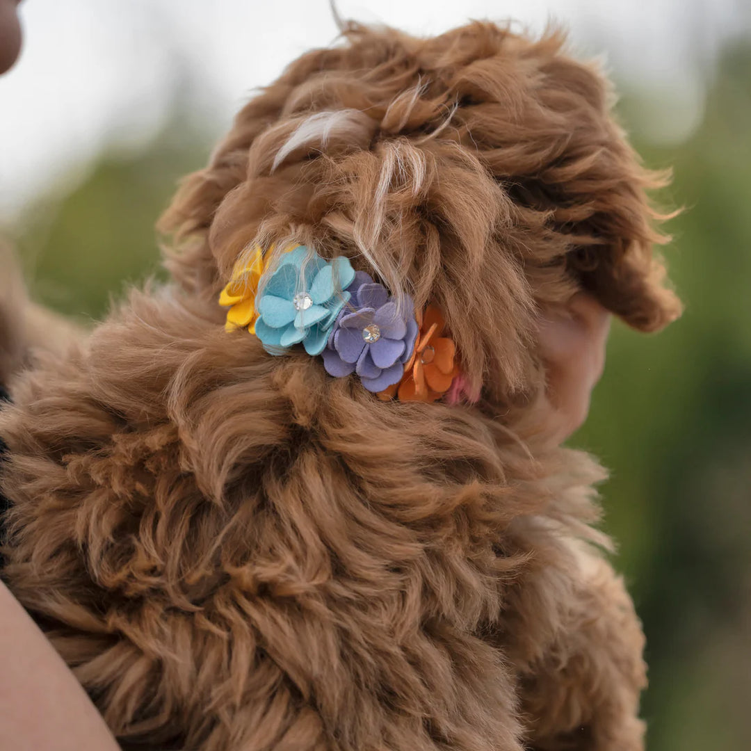 Rainbow Tinkie's Garden Flower Collar-