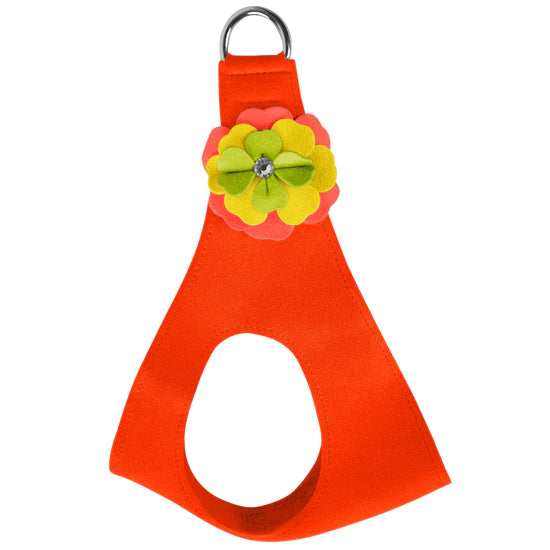 Citrus Flower Step In Harness-Electric Orange-TC-