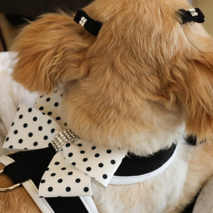 Polka Dot Nouveau Bow Tinkie Harness with White Trim-