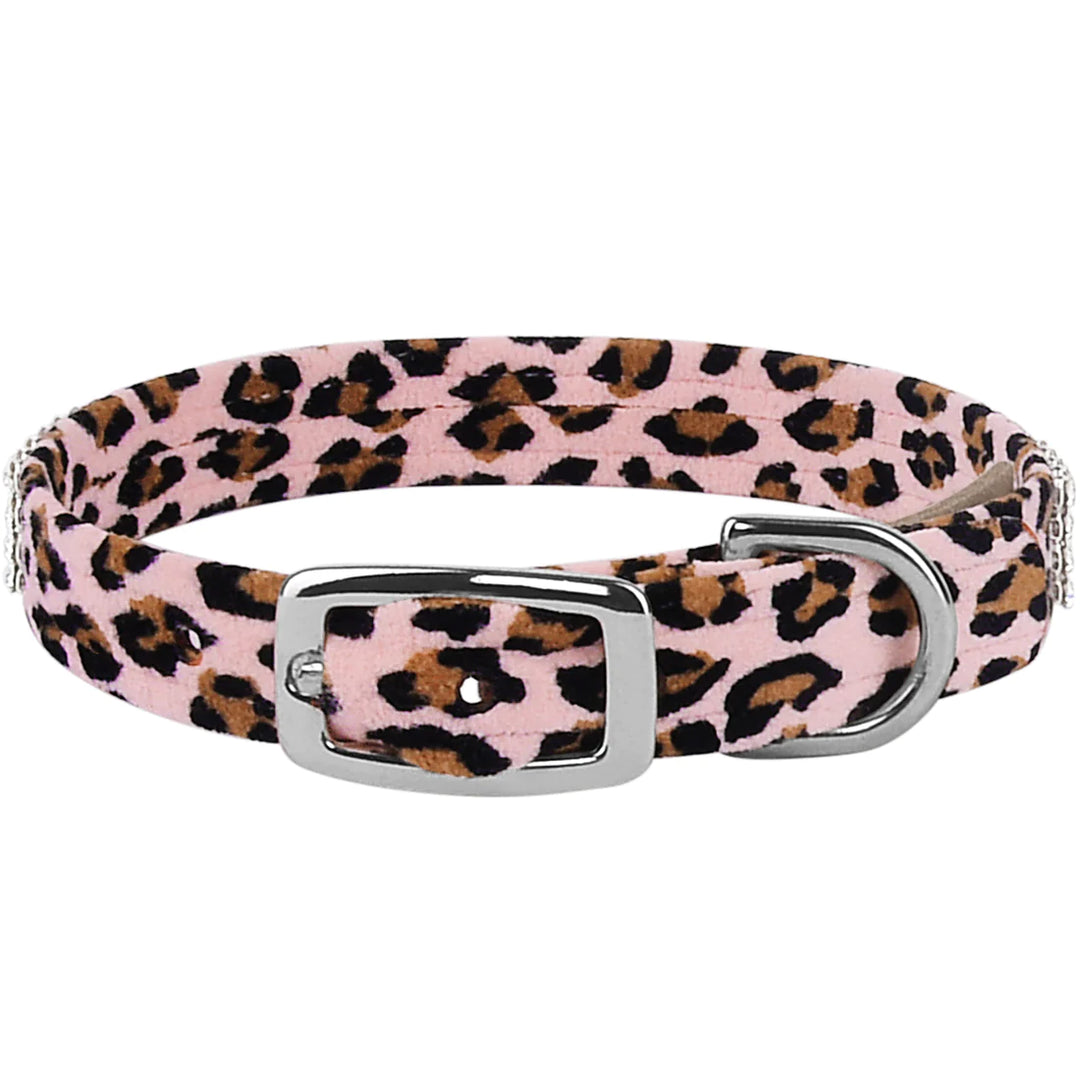 Cheetah Couture 4 Row Giltmore Collar-