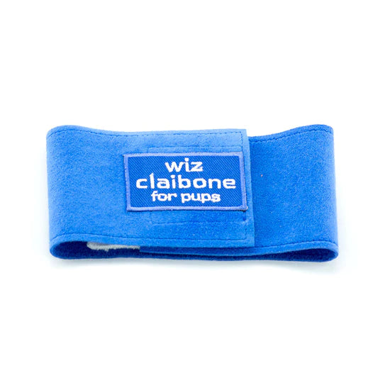 Wiz Claibone Royal Blue Wizzer-TC-Royal Blue-