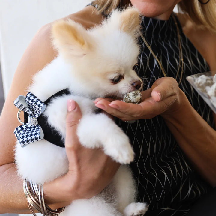 Black & White Houndstooth Nouveau Bow Step In Harness-