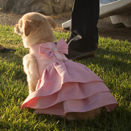 Puppy Pink Madison Dress-