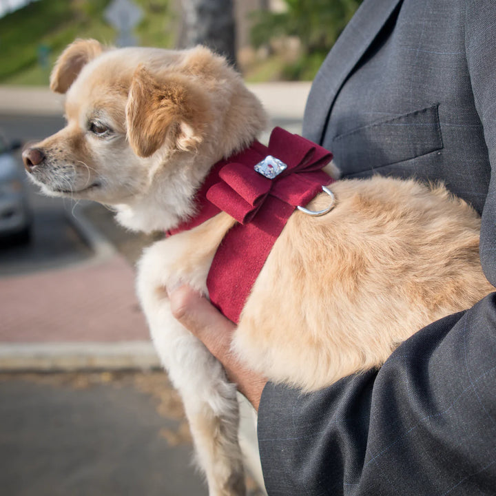 Big Bow Tinkie Harness-