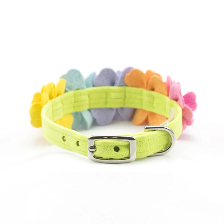 Rainbow Tinkie's Garden Flower Collar-