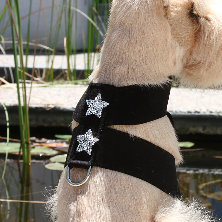 Rock Star Tinkie Harness-