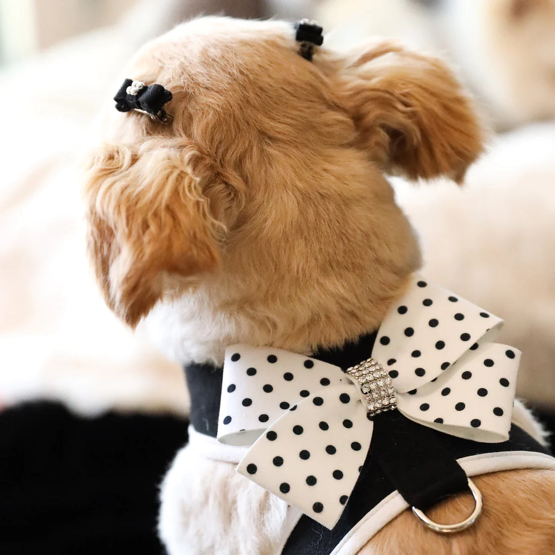 Polka Dot Nouveau Bow Tinkie Harness with White Trim-