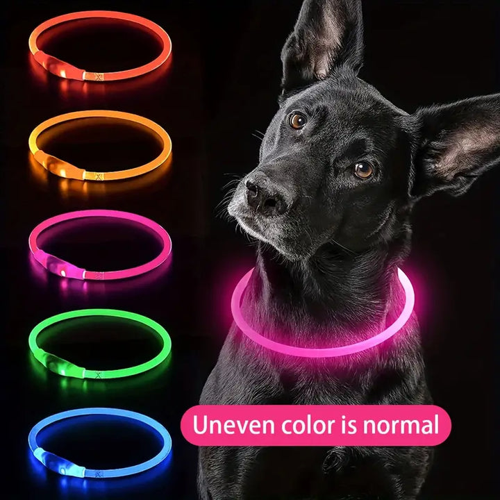 Dog LED Light Collar