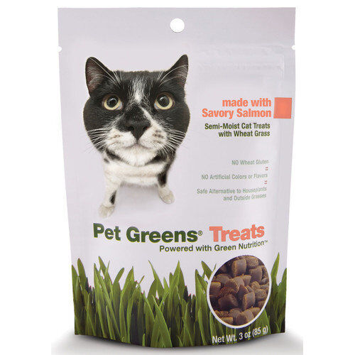 Pet Greens Cat Craves Semi-Moist Soft Cat Treats Salmon 1ea/3 oz-