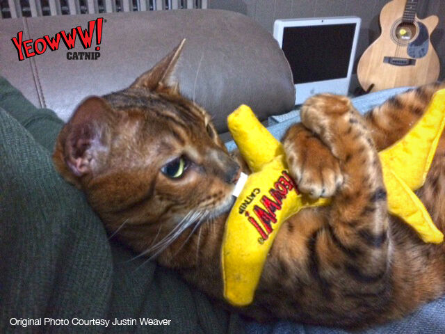 Yeowww! Banana Catnip Cat Toy Yellow 1ea/7 in