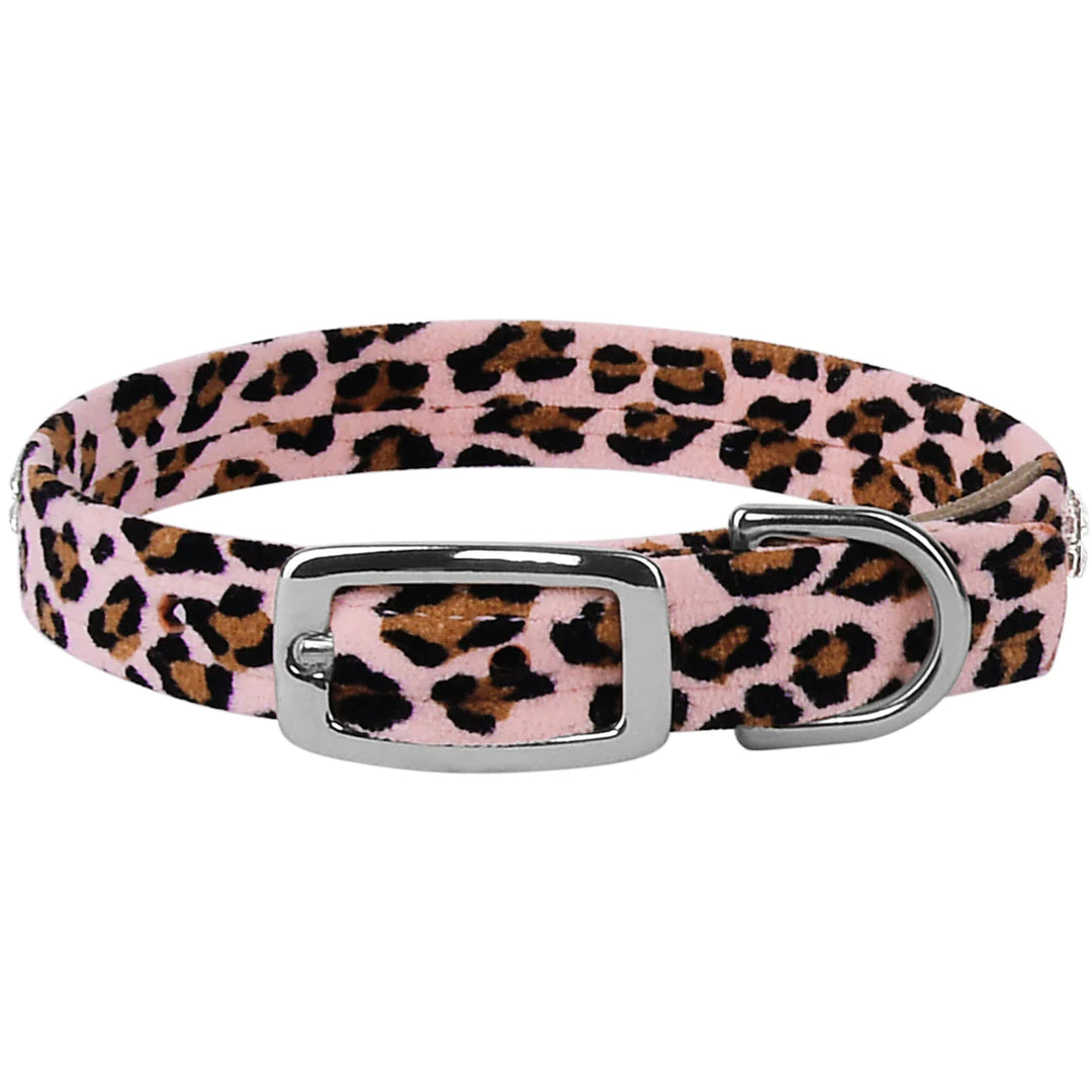 Cheetah Couture 2 Row Giltmore Collar-