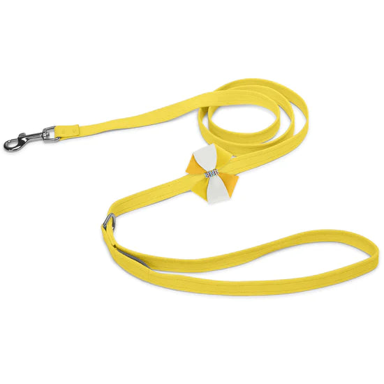 Piña Colada Leash-Sunshine-4 FT-