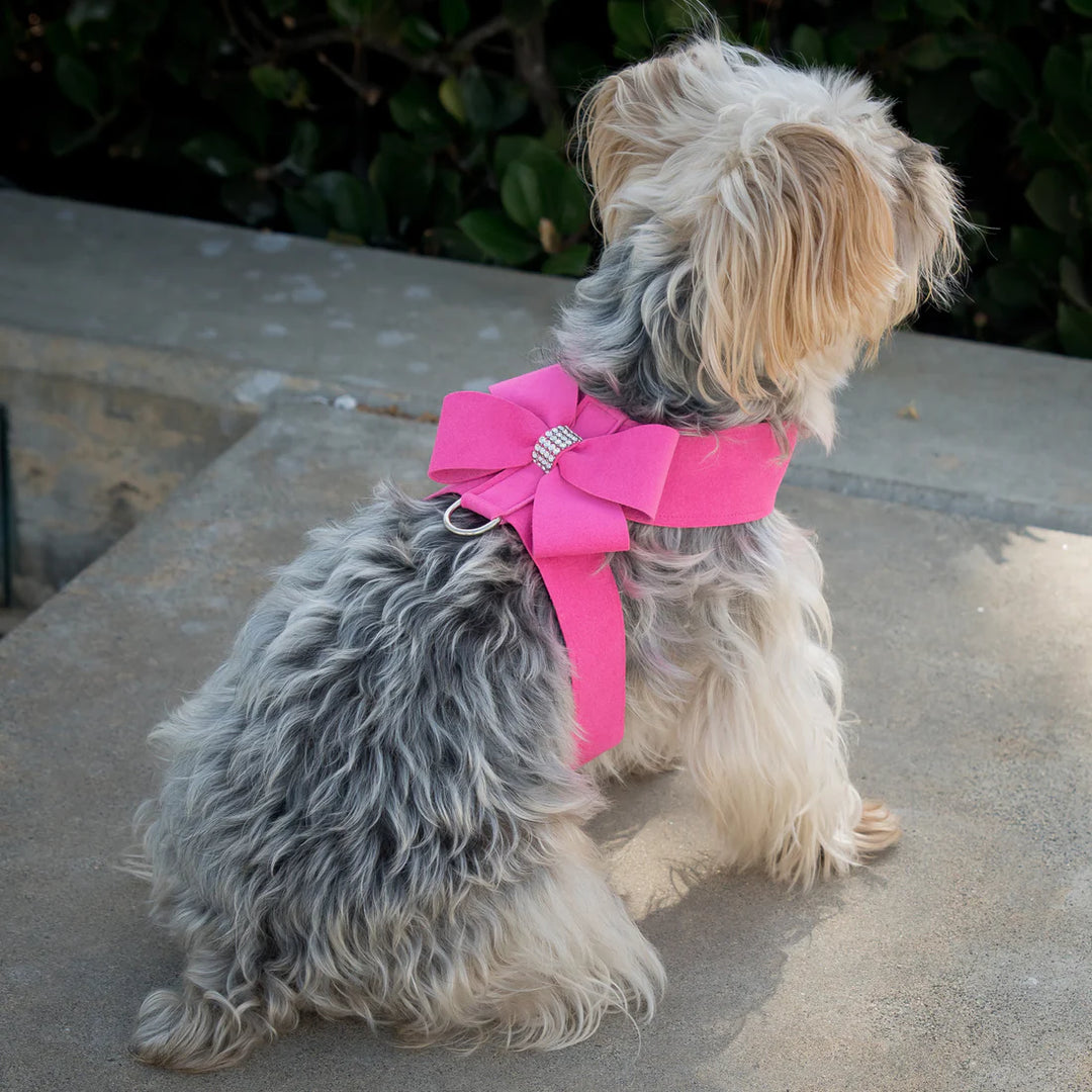 Nouveau Bow Tinkie Harness-