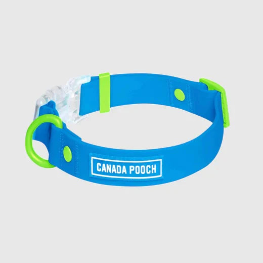 Canada Pooch Dog Waterproof Collar Blue Large-