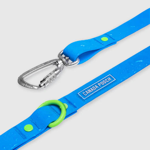 Canada Pooch Dog Waterproof Leash Blue S/M-