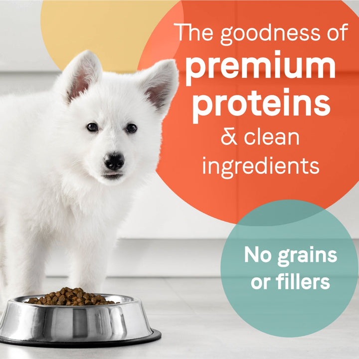 Pure Grain Free Puppy Food Salmon/Sweet Potato 4 Lb