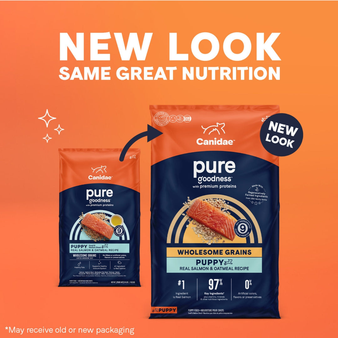 Pure Puppy Food with Wholesome Grains Salmon/Oatmeal 4 Lb